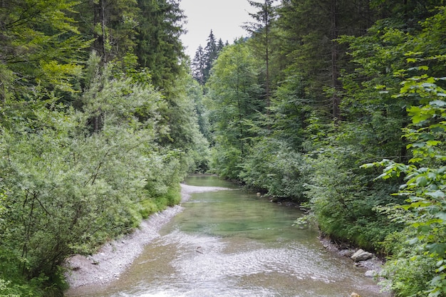 River crossing mountains and forests