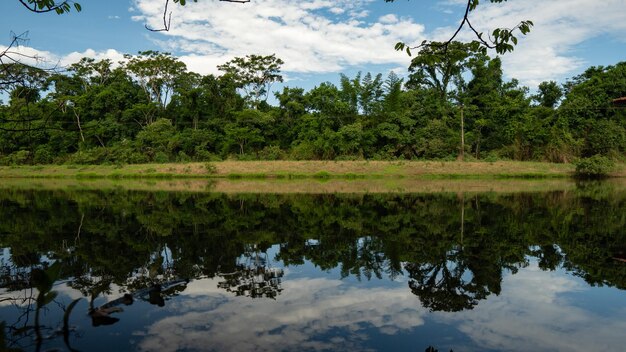 Photo river dam nature trees and river