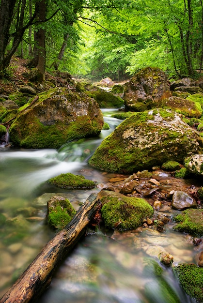 Fiume in profondità in montagna