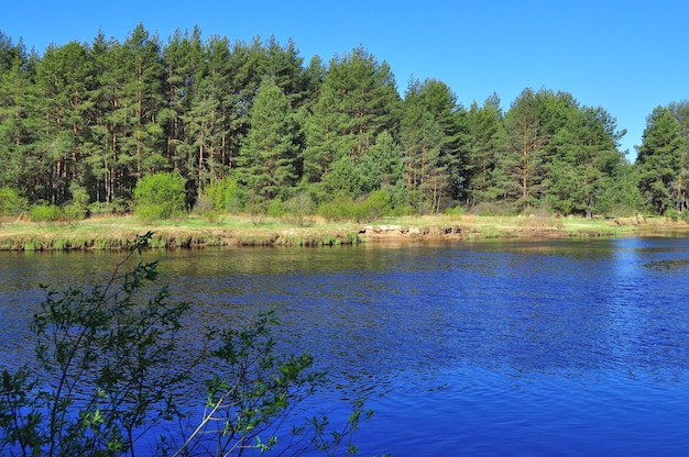 River deserted spring landscape