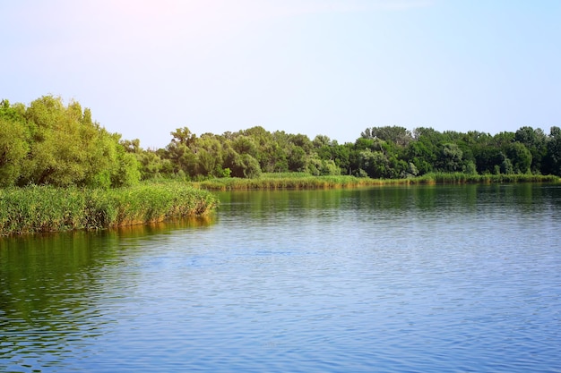 River Don summer background