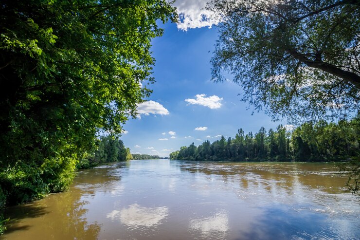 헝가리의 다뉴브 Drava 국립 공원의 Drava 강