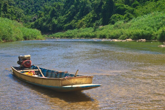  river in evergreen forest with boat 