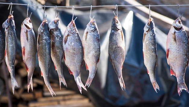 鉄のフックに掛かっているスケールで川の魚