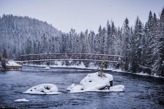 퀘벡주 사게네 근처 겨울에 눈으로 덮인 다리와 소나무 아래 흐르는 강