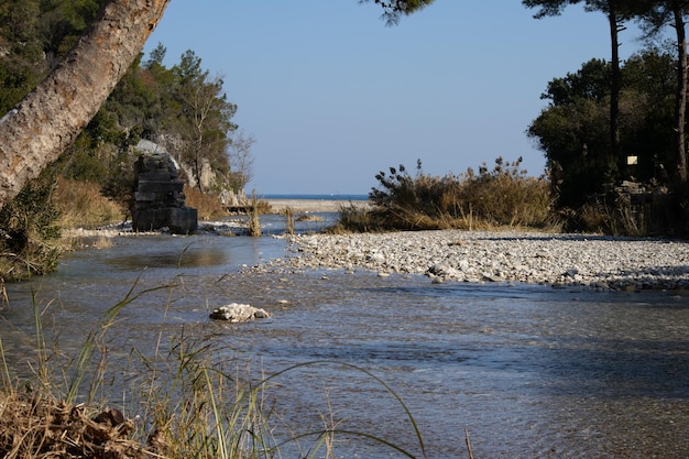 A river flowing into the sea