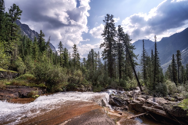 River flowing through autumn colorful forest. Beautiful fall river with rocks and trees