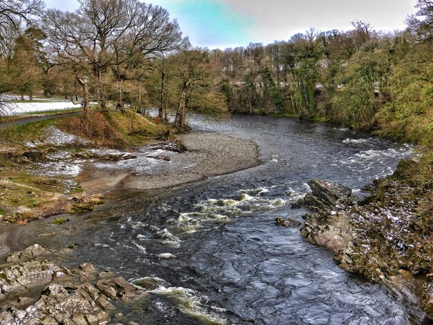 Photo river flowing through forest