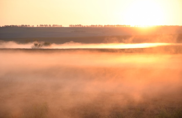 River flowing through green meadows with tall grass foggy early morning Ulyanovsk region Russia