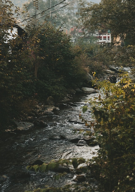 The river flowing through the mountains in the morning with fog