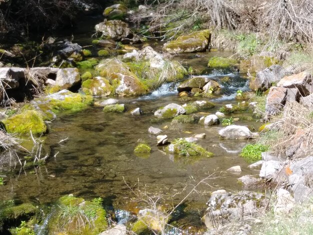 River flowing through rocks in forest