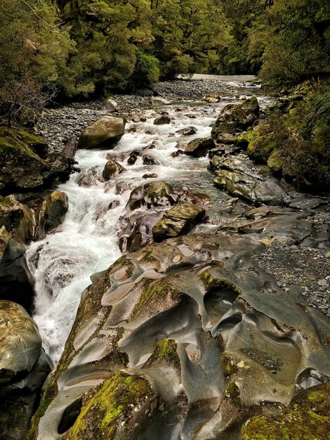 Foto fiume che scorre tra le rocce della foresta