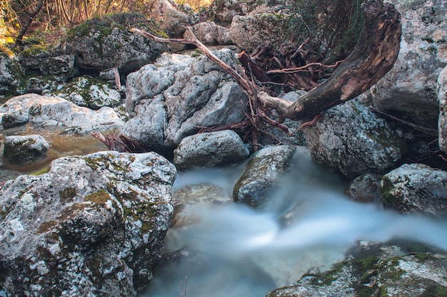 사진 숲 속 의 바위 를 가로질러 흐르는 강