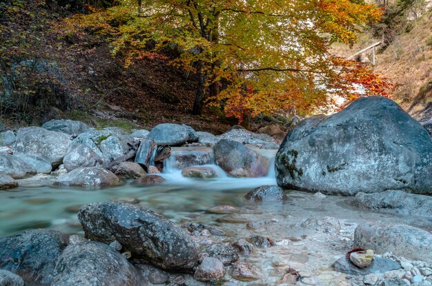 写真 森の岩の中を流れる川