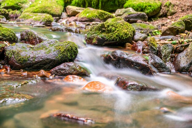 Photo river flowing through rocks