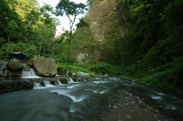 River flowing through rocks