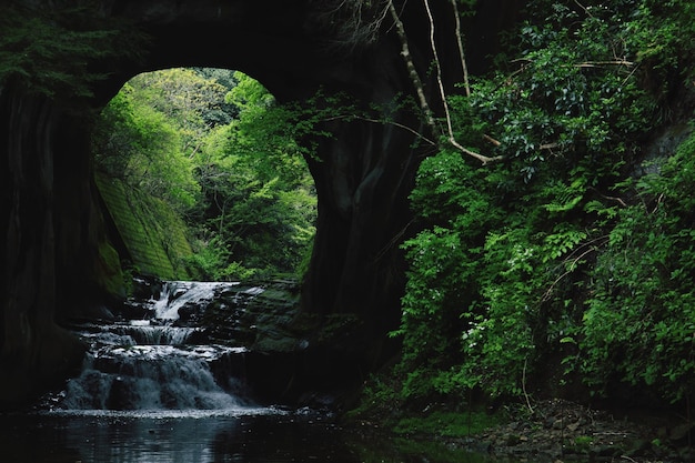 river flowing through tunnel in forest