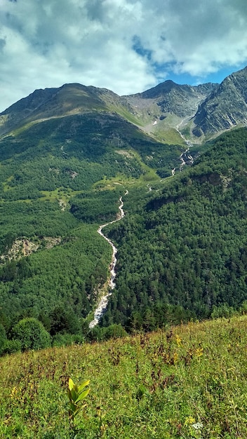 緑の山から川が流れる