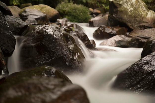 A river flows over rocks in the forest.