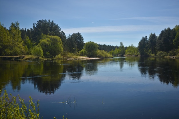 The river flows in the spring among the woods