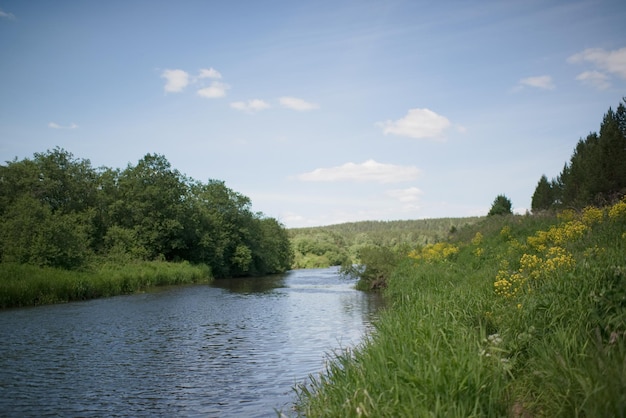 Река в лесу, естественный фон