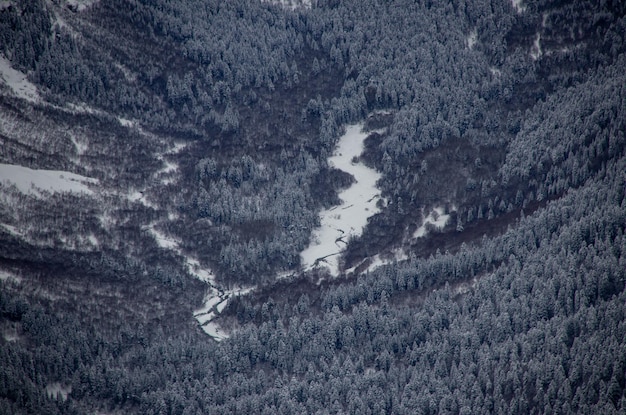 River and forest in the snowy valley between the mountains of the Caucasus