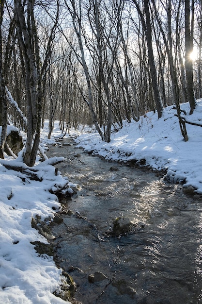 River forest winter. Winter atmospheric background. The concept of snow melting the onset of spring.