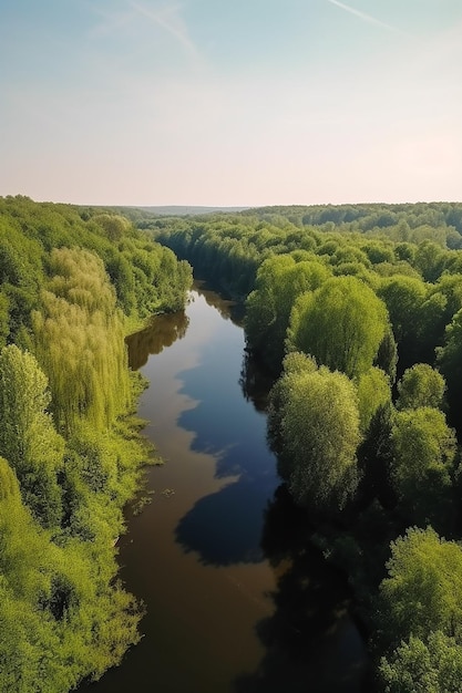 A river in the forest with trees and the sky