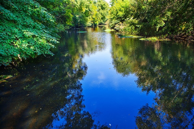 River in forest