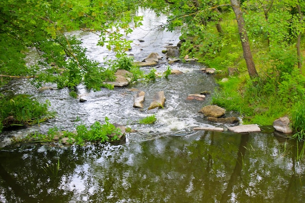 森の中の川