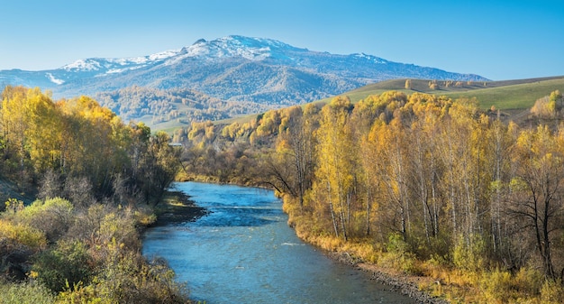 River forested banks and a snowcapped peak Autumn day