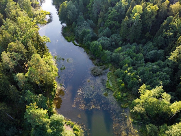 Вид с воздуха на реку и зеленый лес