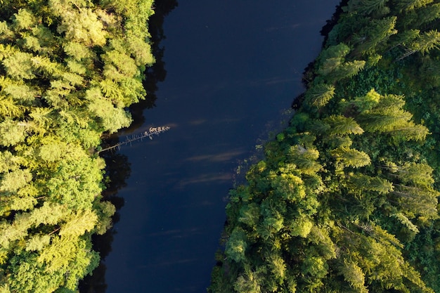 Вид с воздуха на реку и зеленый лес