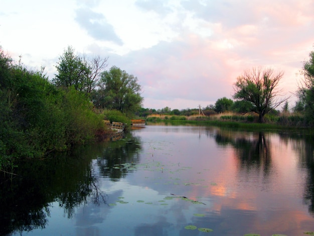 River, green trees and bushes, clouds reflected in the water, sunset, summer. Beautiful landscape