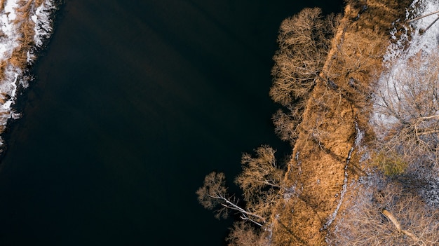 Фото Река в деревьях