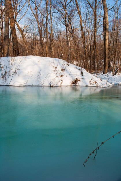 Photo the river is melting spring in the forest