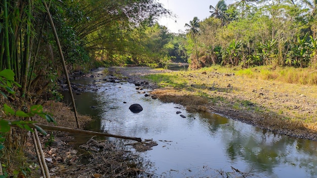 the river is still beautiful in Indonesia