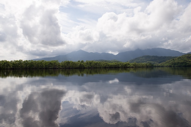 River on the island of Cardoso