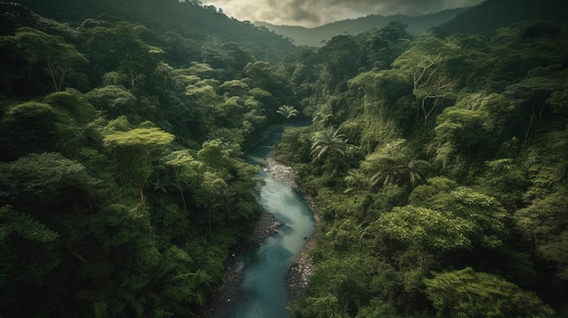 A river in the jungle with a cloudy sky