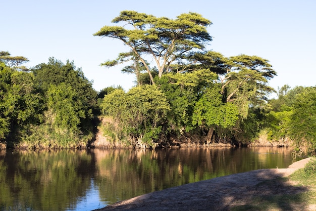 写真 川の風景。グルメティ川。セレンゲティ、タンザニア