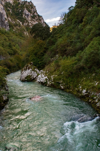 アストゥリアスのリオカレス川の川の風景