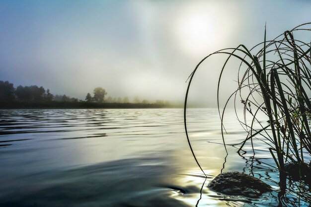 Photo river landscape with dawn mist and morning dew selective focus