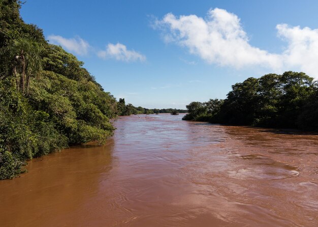 Река, ведущая к водопадам Игуасу