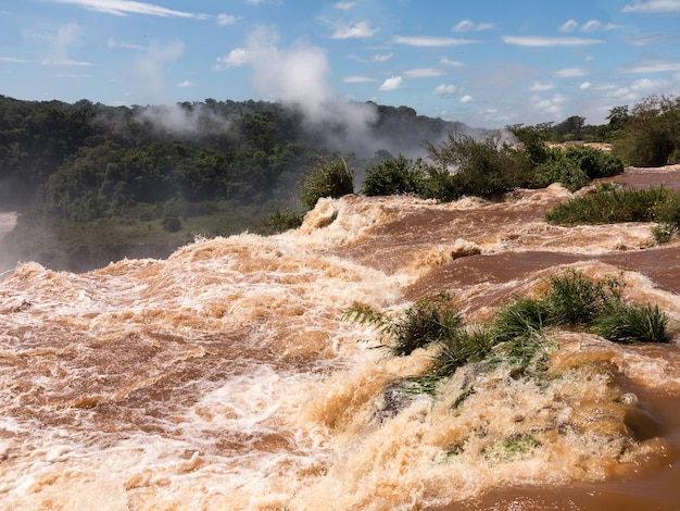 Река, ведущая к водопадам Игуасу