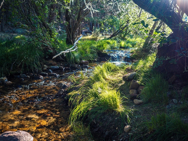 The River Manzanares. Along its course through La Pedriza, in Guadarrama Mountains National Park, Madrid, Spain.