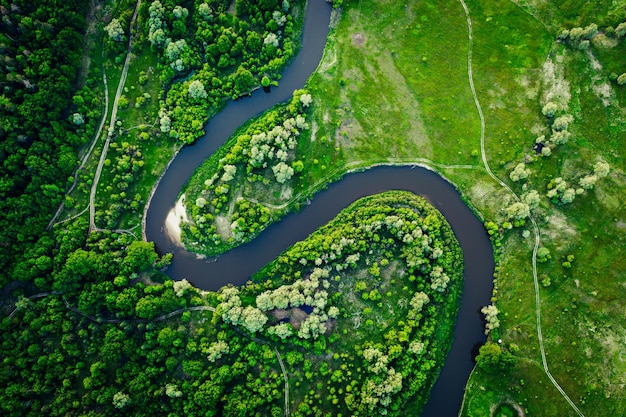 River in the meadows