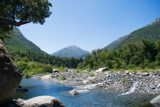 river in the middle of a forest and mountains