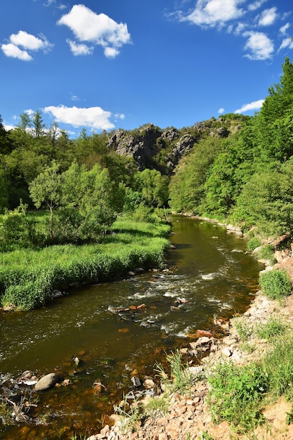 Fiume in montagna