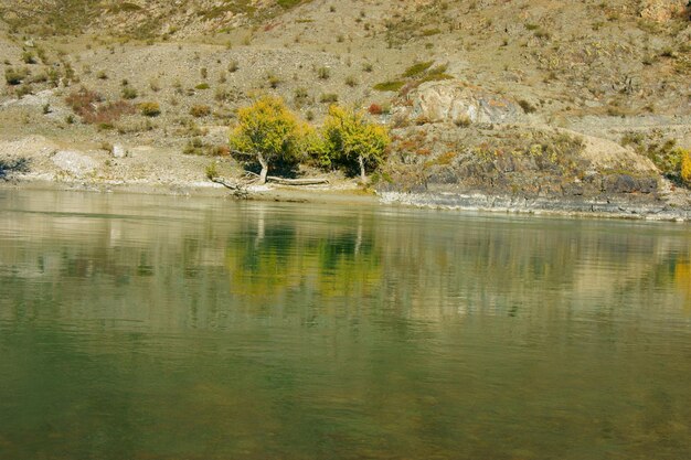 Foto fiume in montagna