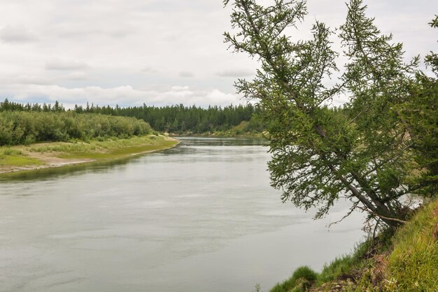 The river in the natural Park on the Taimyr Peninsula